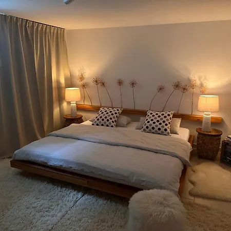 Mit Sauna Und Kamin Apartament *
